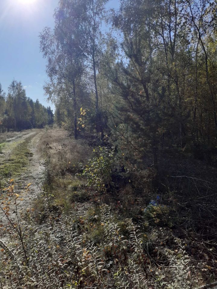 Działka rolna Krępica. Zdjęcie 2