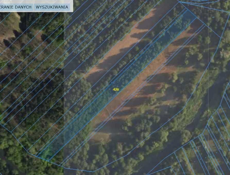 Działka leśna Zawady. Zdjęcie 7