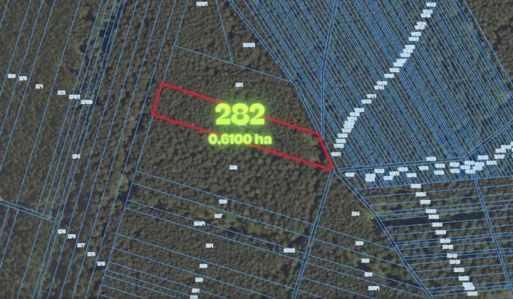 Działka leśna Witów