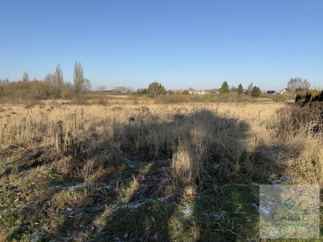 Działka budowlana Mierzyn. Zdjęcie 3