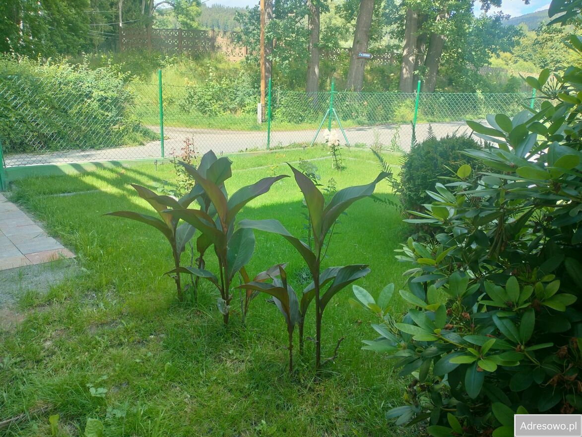 dom, 4 pokoje Jugów, ul. Jana. Zdjęcie 4