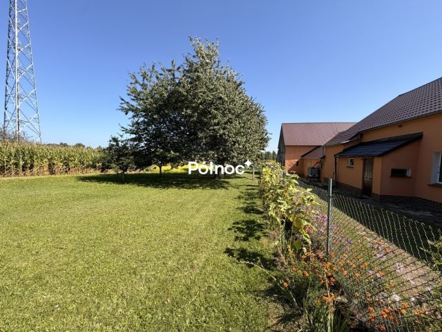 dom wolnostojący, 4 pokoje Wykroty, ul. Wyzwolenia. Zdjęcie 4