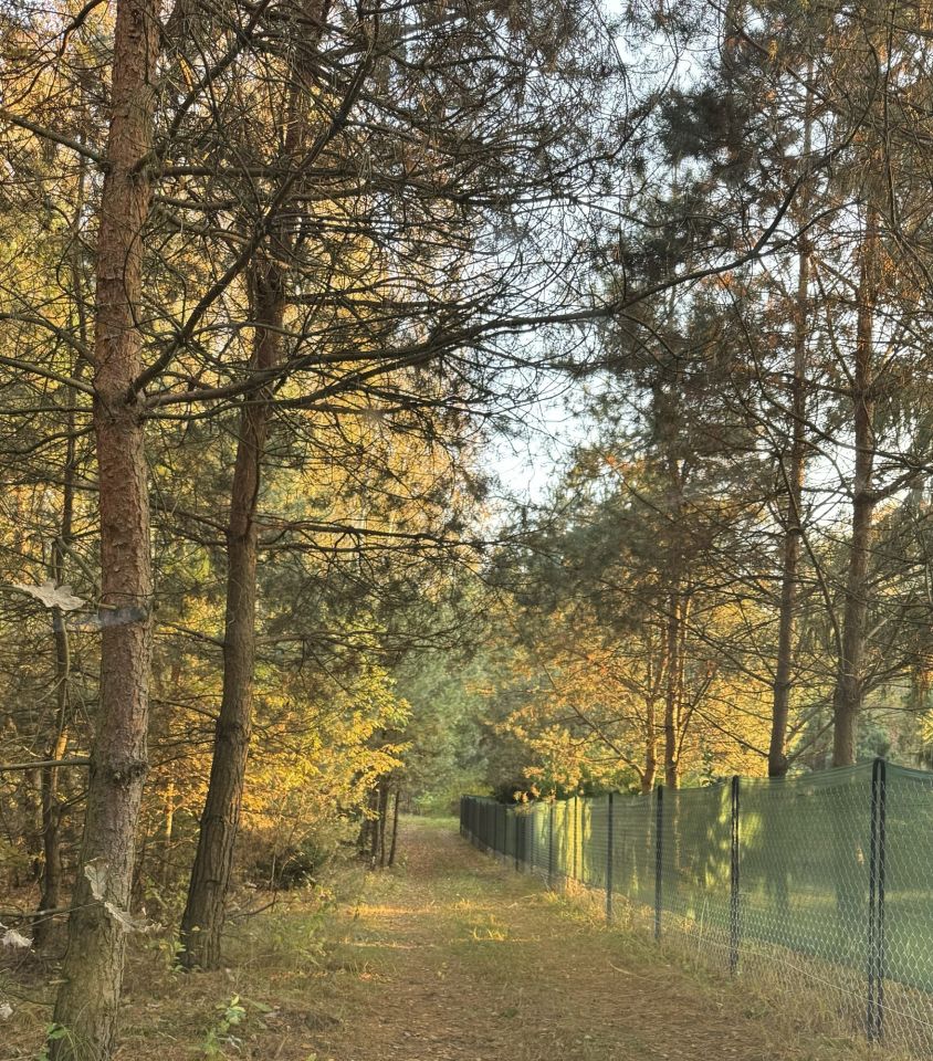 Działka rekreacyjna Rzy, Kuchary Krówlewskie. Zdjęcie 8