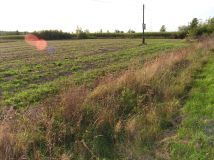 Działka budowlana Zwierzyniec Trzeci. Zdjęcie 3