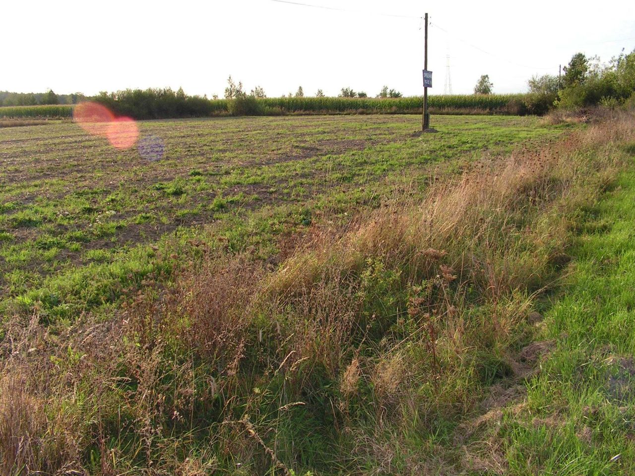 Działka budowlana Zwierzyniec Trzeci. Zdjęcie 4