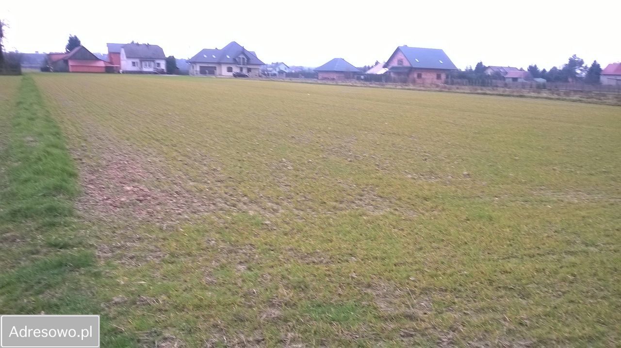 Działka rolno-budowlana Ochodza, ul. Brzozowa. Zdjęcie 2