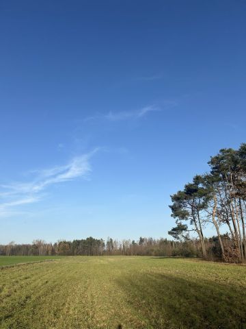 Działka rolno-budowlana Rzymiec. Zdjęcie 1