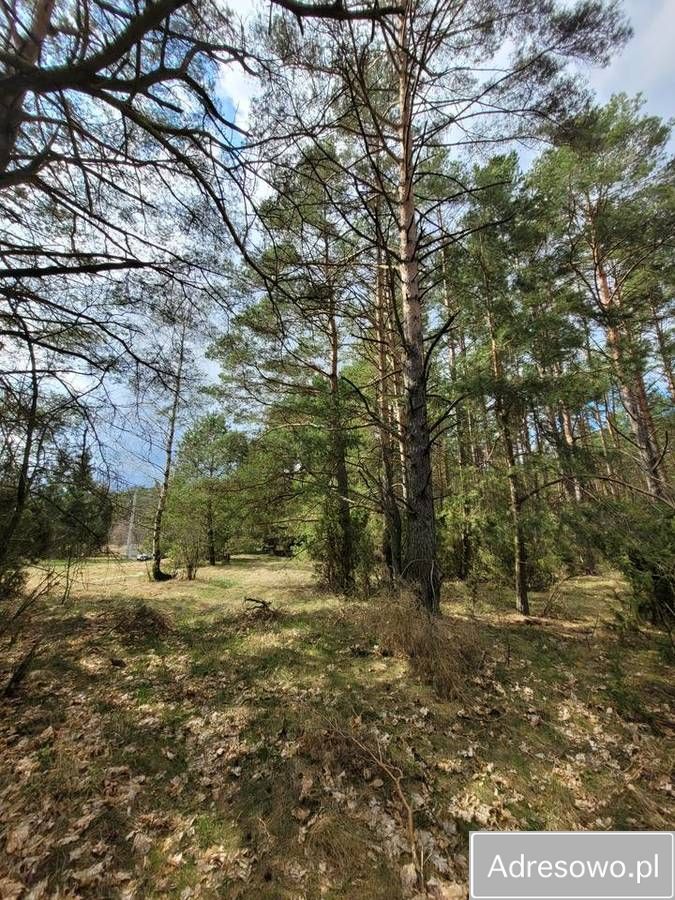 Działka rekreacyjna Mącice. Zdjęcie 4