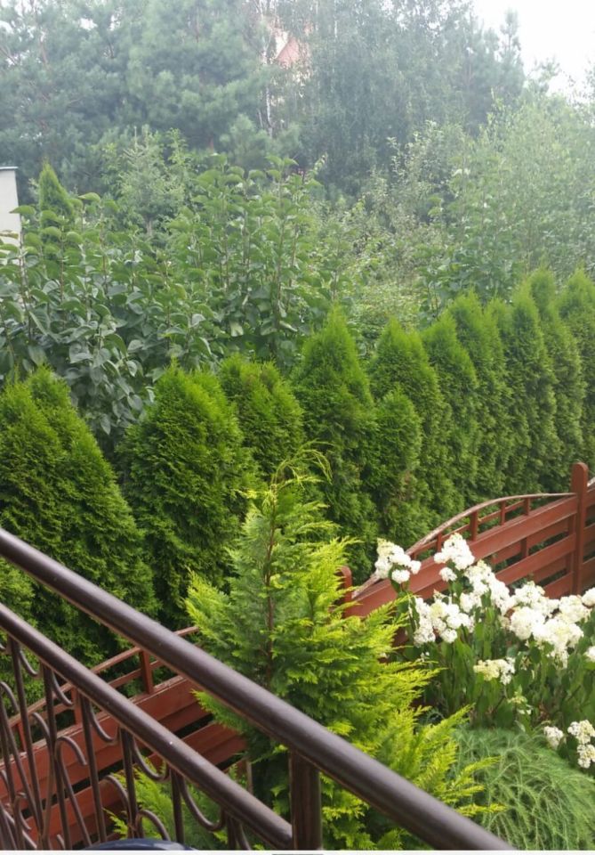 bliźniak, 3 pokoje Skierniewice Feliksów, ul. Szarotek. Zdjęcie 14