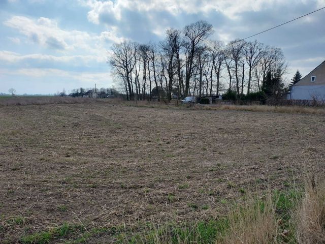 Działka budowlana Grzywna Domena. Zdjęcie 1