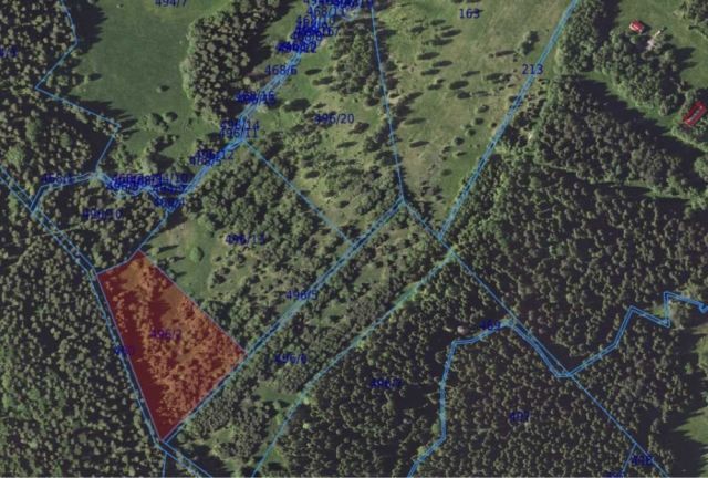 Działka rolna Czarna. Zdjęcie 3