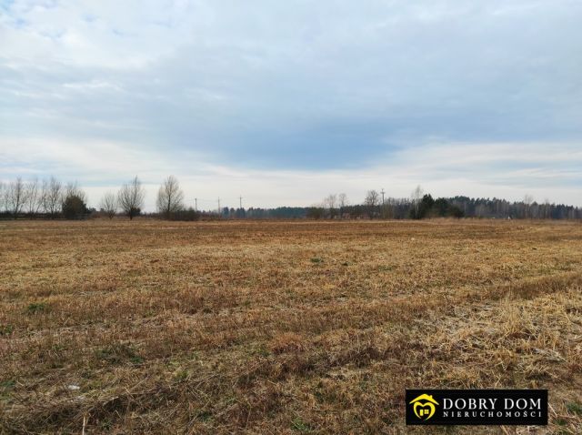 Działka budowlana Niewodnica Nargilewska. Zdjęcie 1