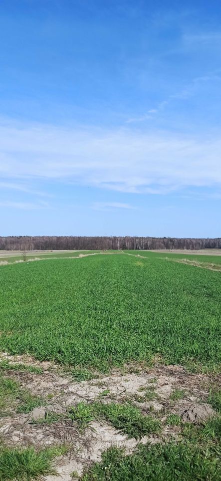 Działka rolno-budowlana Bukowiec, ul. Dolna. Zdjęcie 6