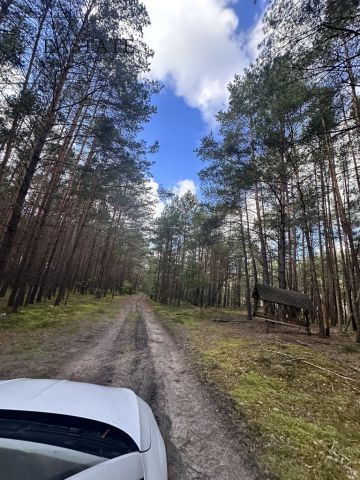 Działka leśna Kamianka. Zdjęcie 4