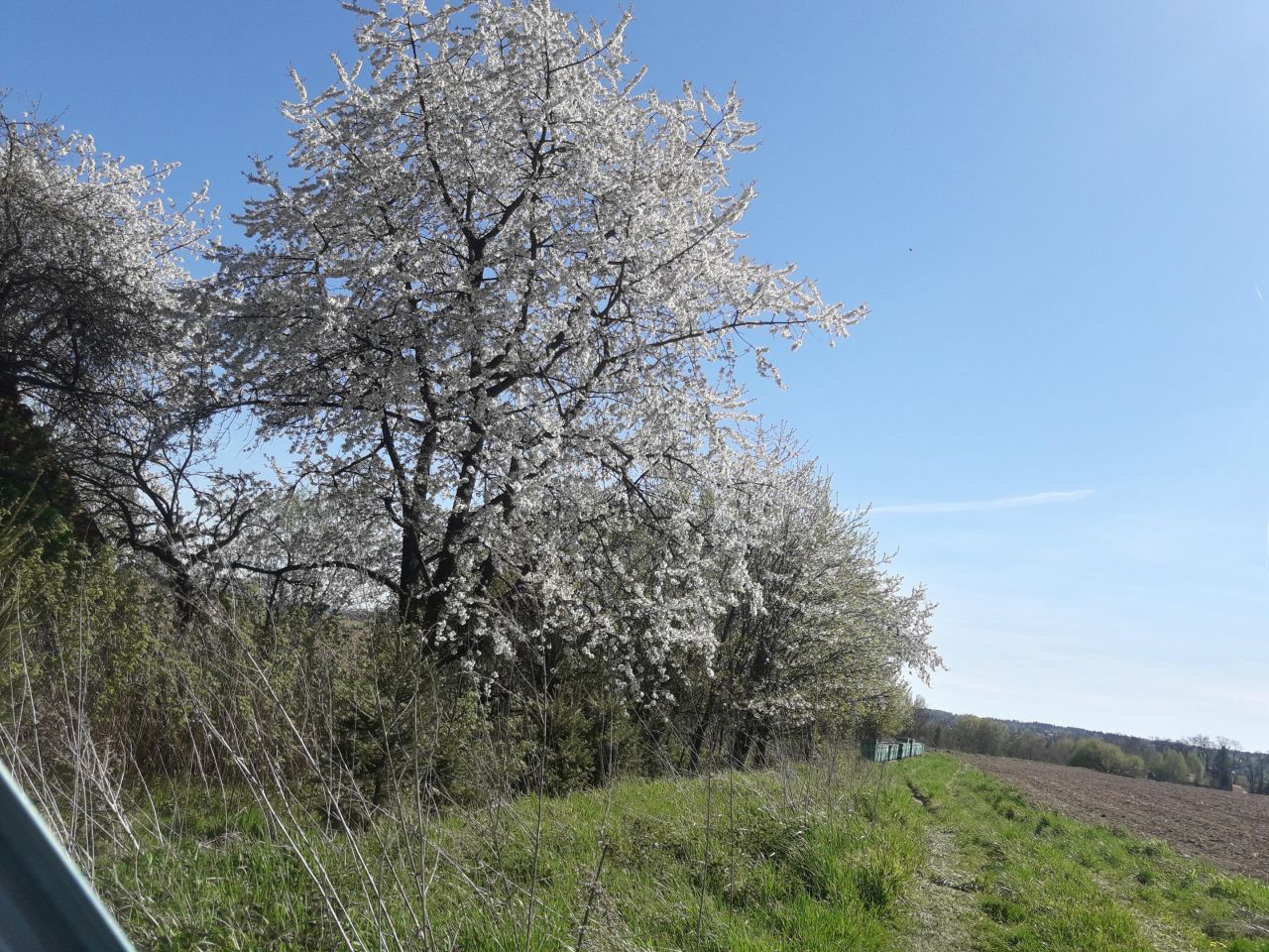 Działka siedliskowa Bolechowice Skotnica, ul. Siedliski. Zdjęcie 3