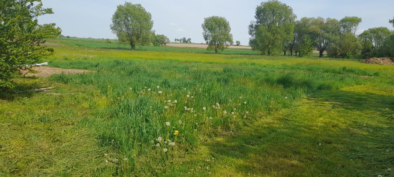 siedlisko, 6 pokoi Wyszonki-Wypychy. Zdjęcie 16