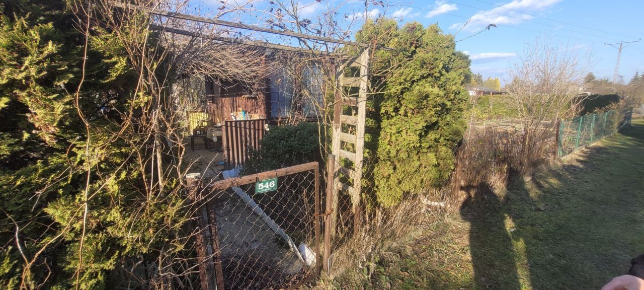 Działka rod Skierniewice. Zdjęcie 6