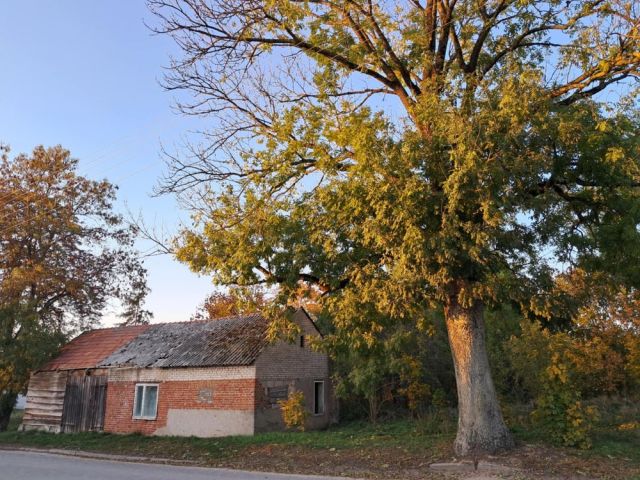 Działka siedliskowa Gonty. Zdjęcie 1