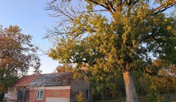 Działka siedliskowa Gonty