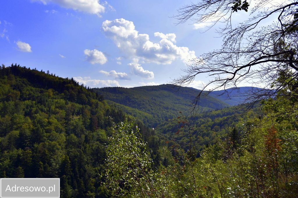 Mieszkanie 3-pokojowe Złoty Stok, ul. Chemików. Zdjęcie 4