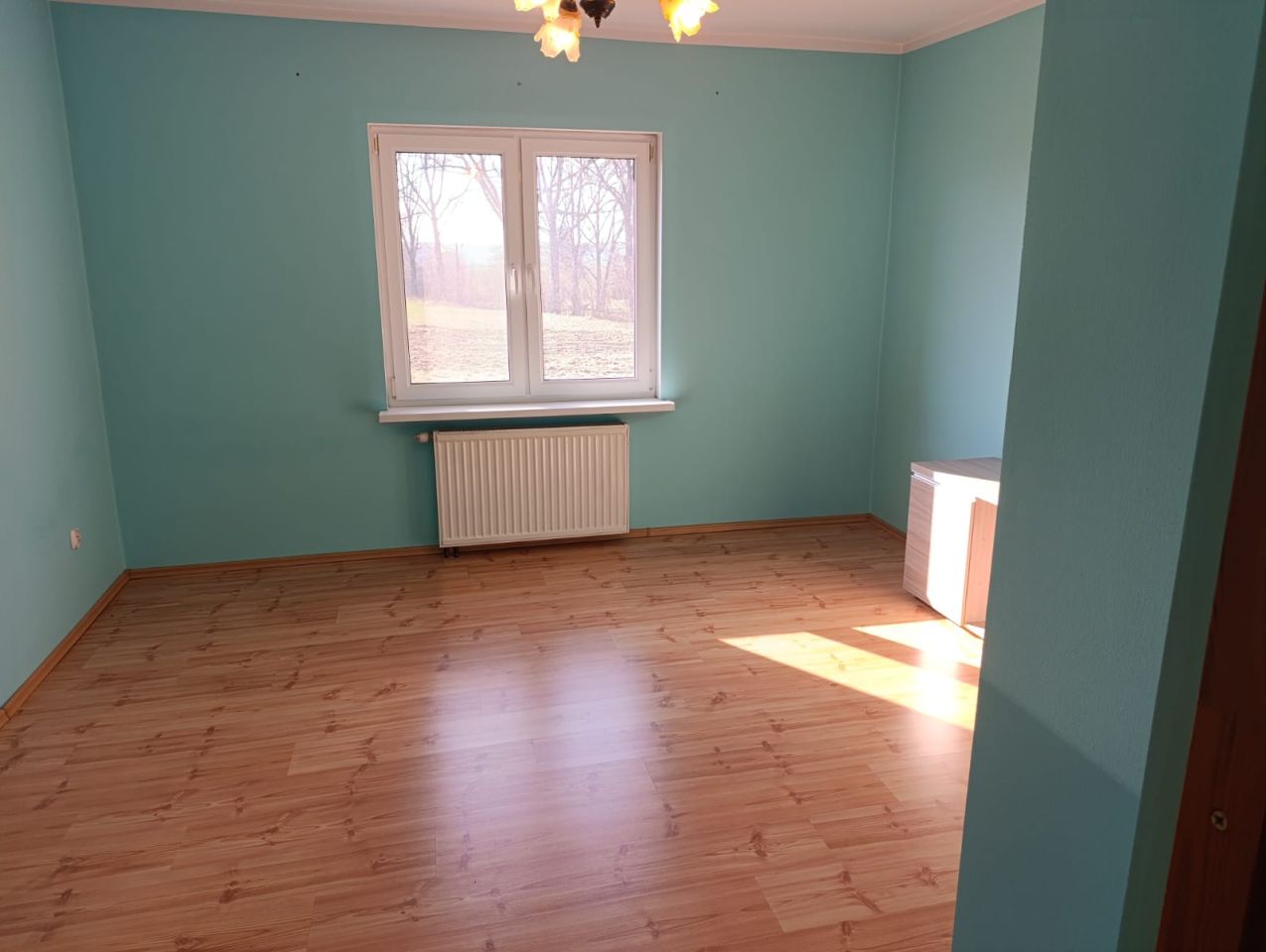 gospodarstwo, 7 pokoi Upadły. Zdjęcie 53