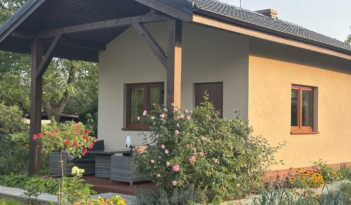 Działka rod Poznań Ławica, ul. Bukowska