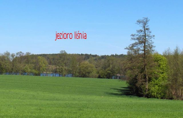 Działka rolna Chrzypsko Małe. Zdjęcie 5