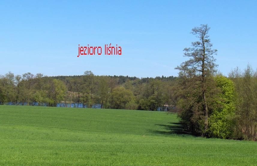 Działka rolna Śródka. Zdjęcie 5