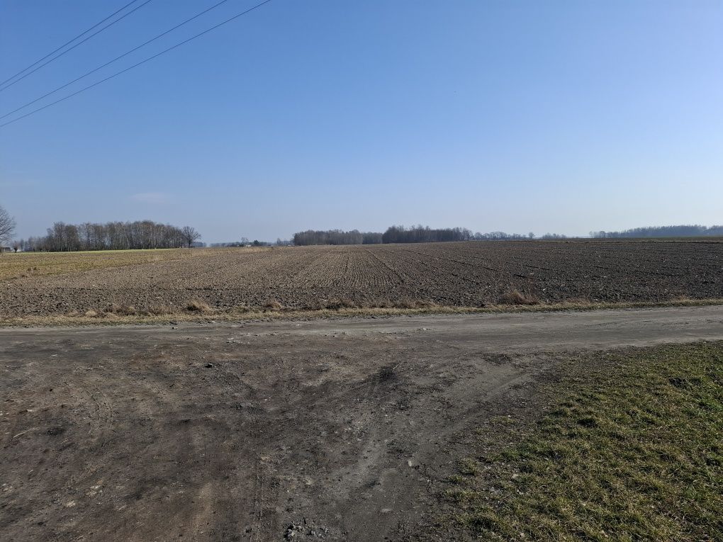 Działka rolna Zawady Dworskie. Zdjęcie 2