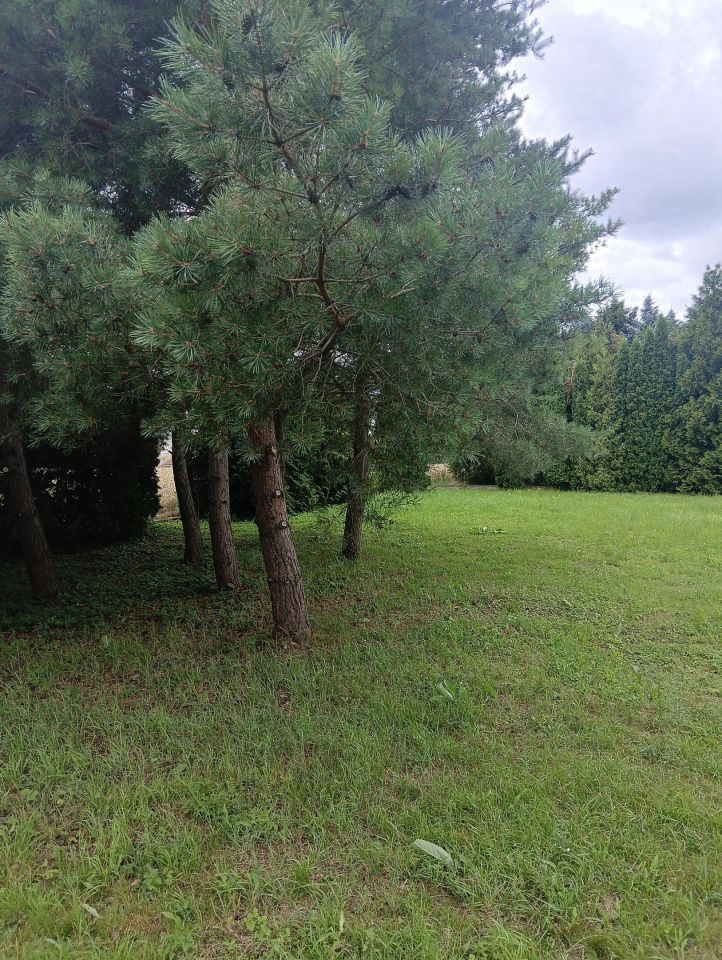 Działka budowlana Tczewskie Łąki, ul. Wałowa. Zdjęcie 4