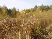 Działka budowlana Nuna. Zdjęcie 4