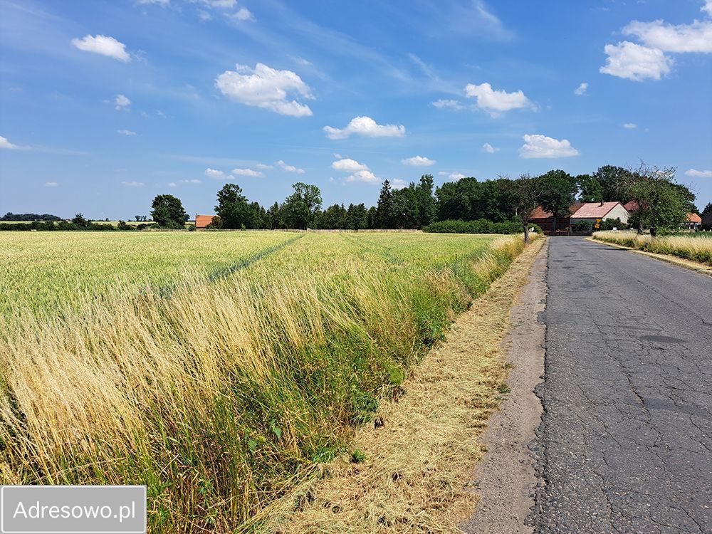 Działka budowlana Domachowo. Zdjęcie 2