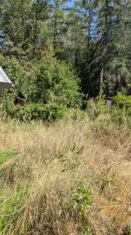 Działka rolna Chojnów. Zdjęcie 8