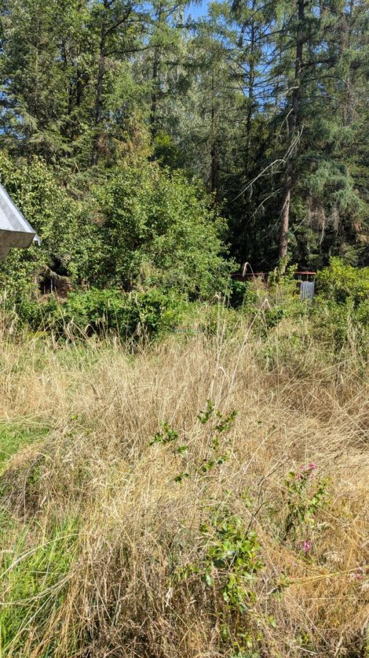 Działka rolna Chojnów. Zdjęcie 8