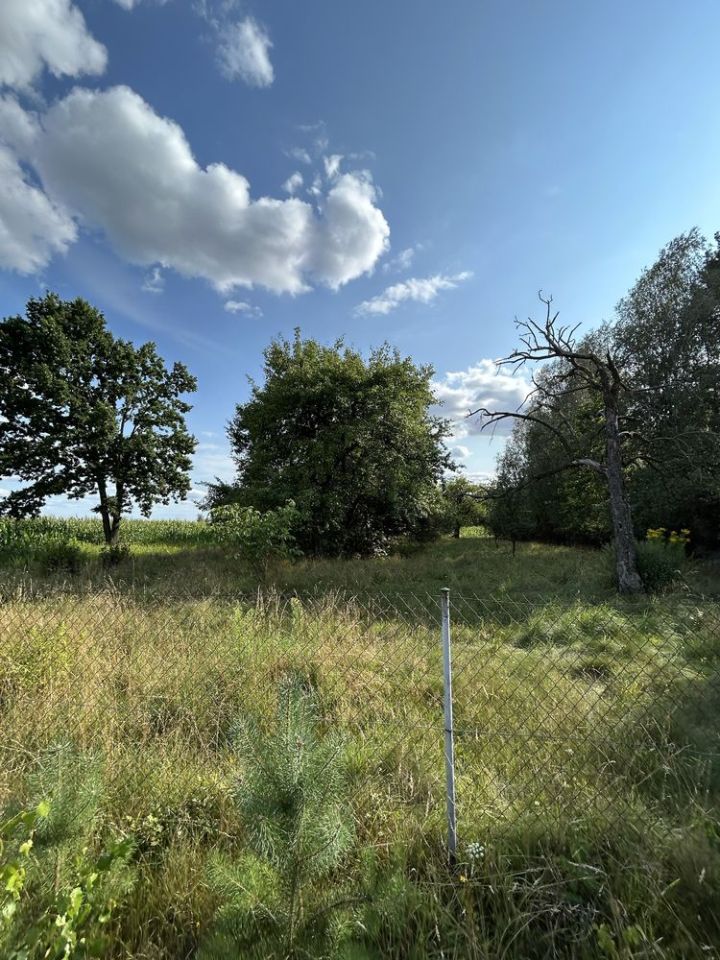 siedlisko, 3 pokoje Sosnówka Krzaki. Zdjęcie 6