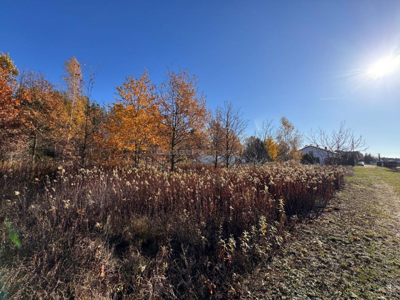 Działka budowlana Stasi Las. Zdjęcie 5