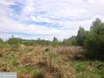 Działka rolna Brzozówka. Zdjęcie 4