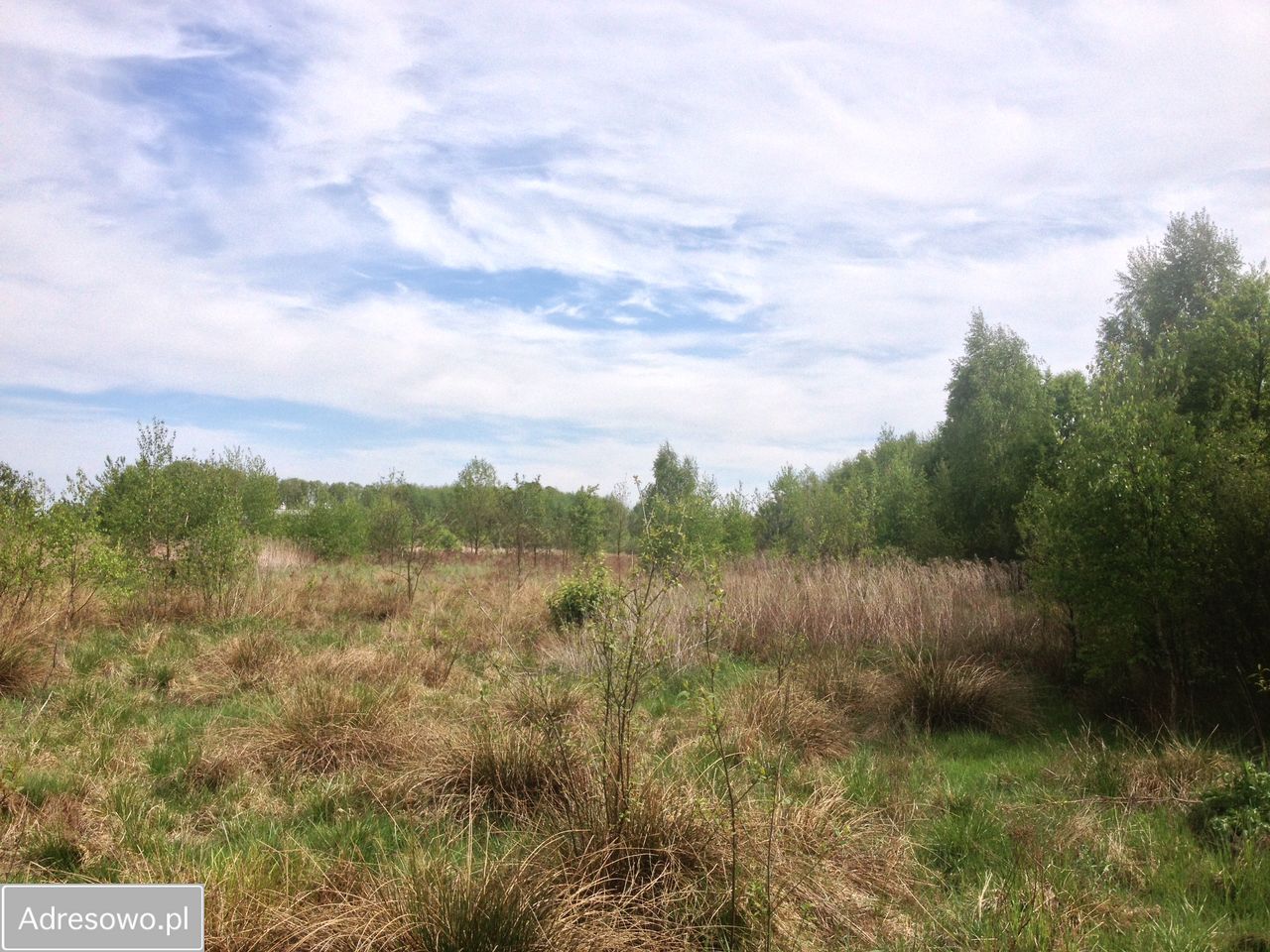 Działka rolna Brzozówka. Zdjęcie 5
