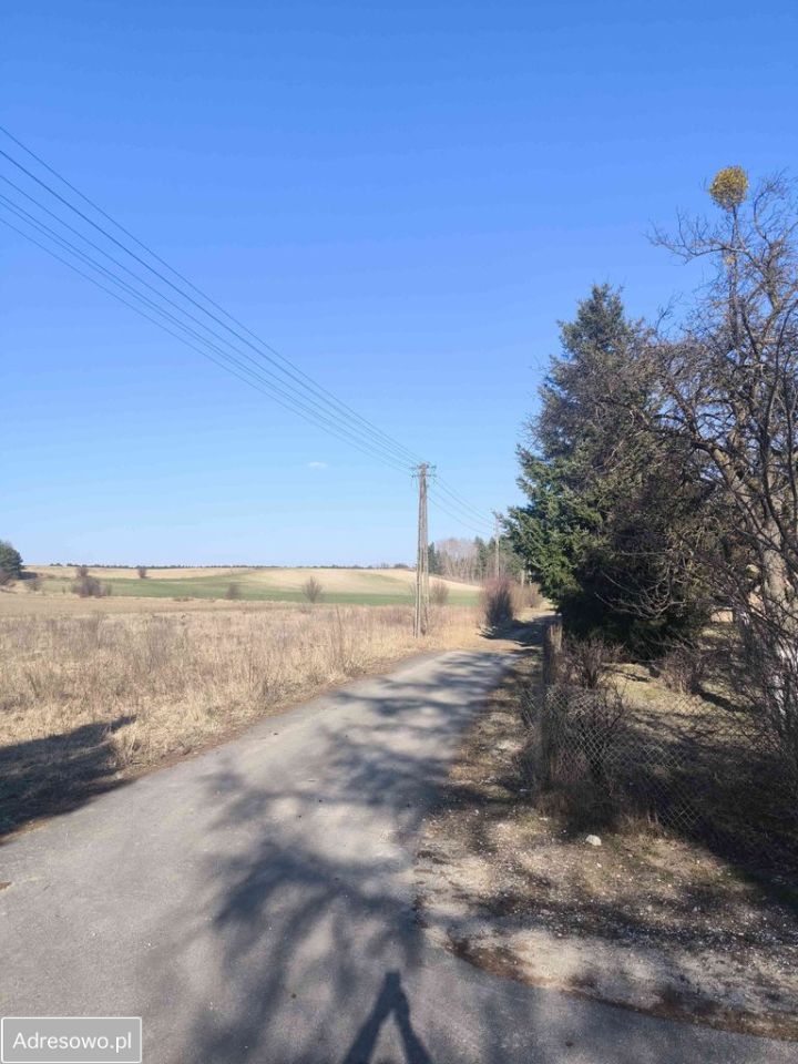 Działka rolna Świerczyna. Zdjęcie 5
