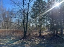 Działka budowlana Józefów, ul. Leśna. Zdjęcie 4