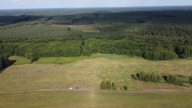 Działka rolno-budowlana Golce. Zdjęcie 1