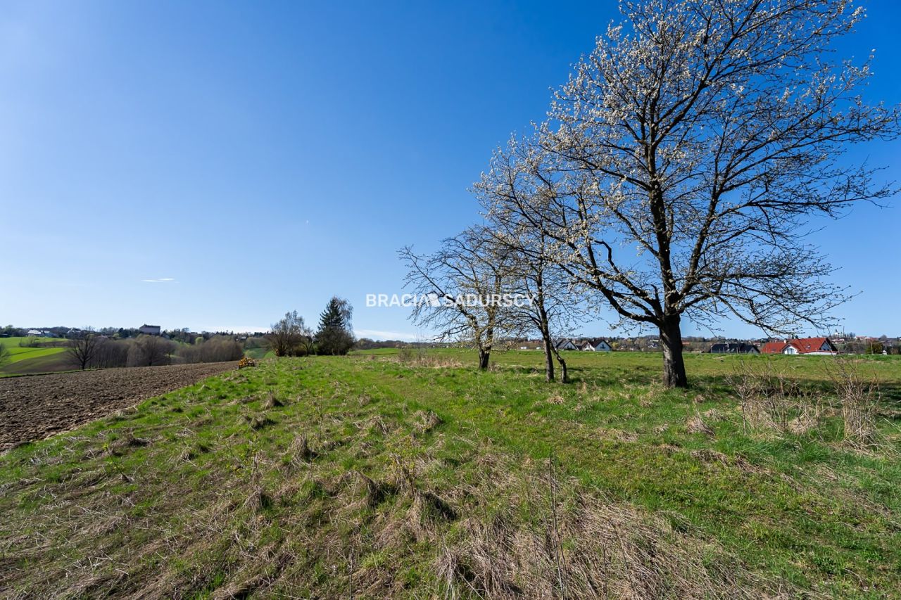 Działka rolna Sławkowice. Zdjęcie 18