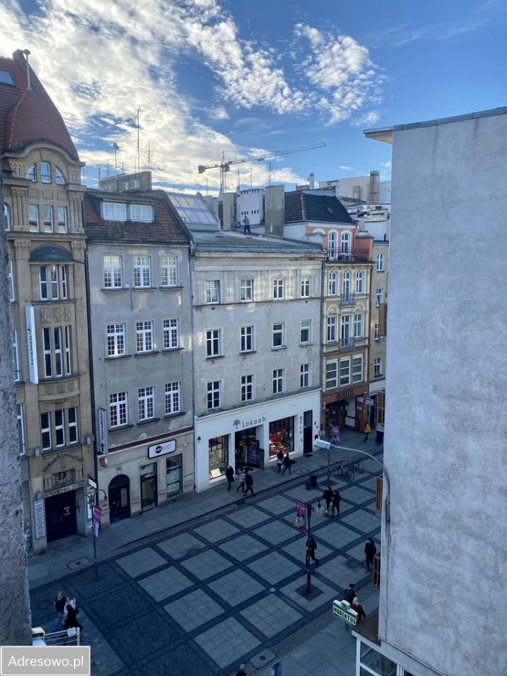Mieszkanie 1-pokojowe Wrocław Stare Miasto, ul. Biskupia. Zdjęcie 5