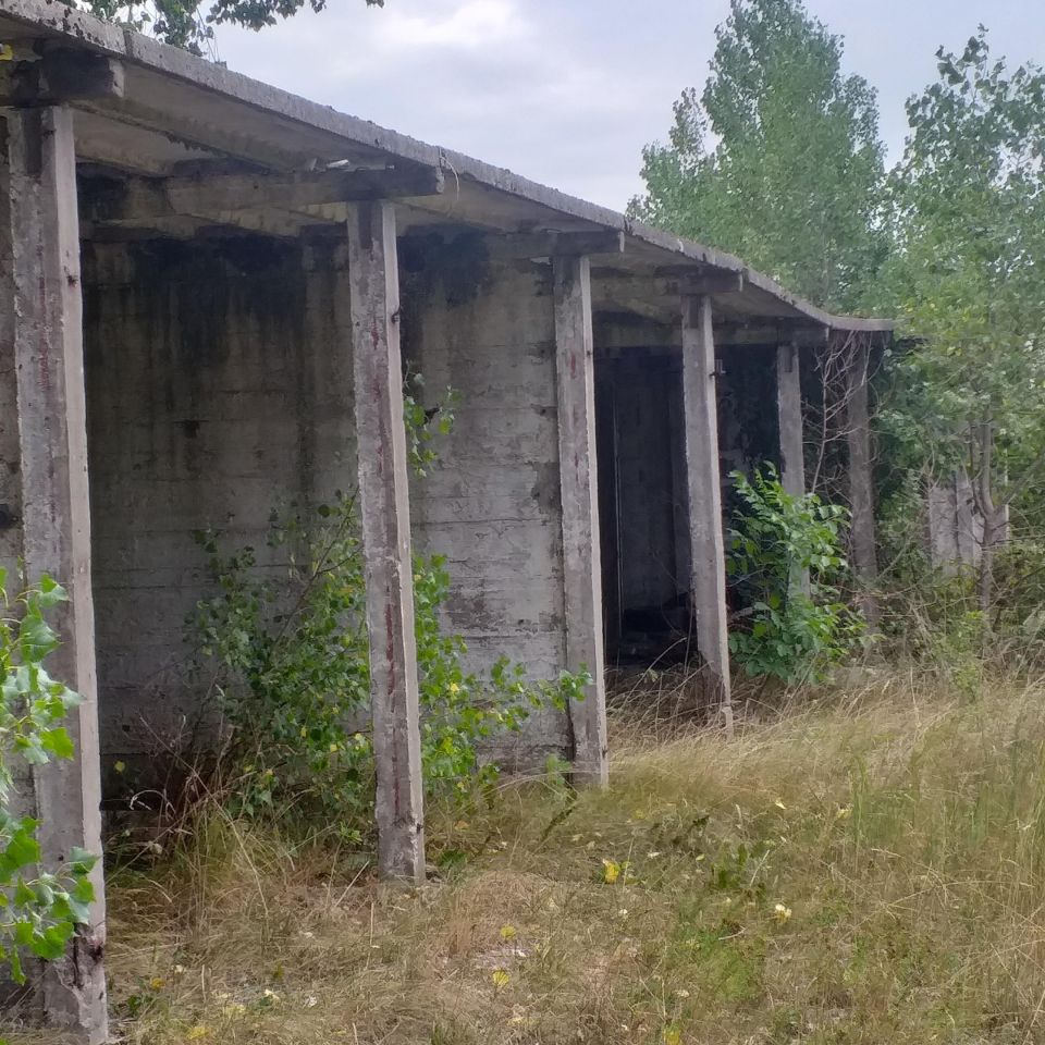 Działka inwestycyjna Mierucin. Zdjęcie 8