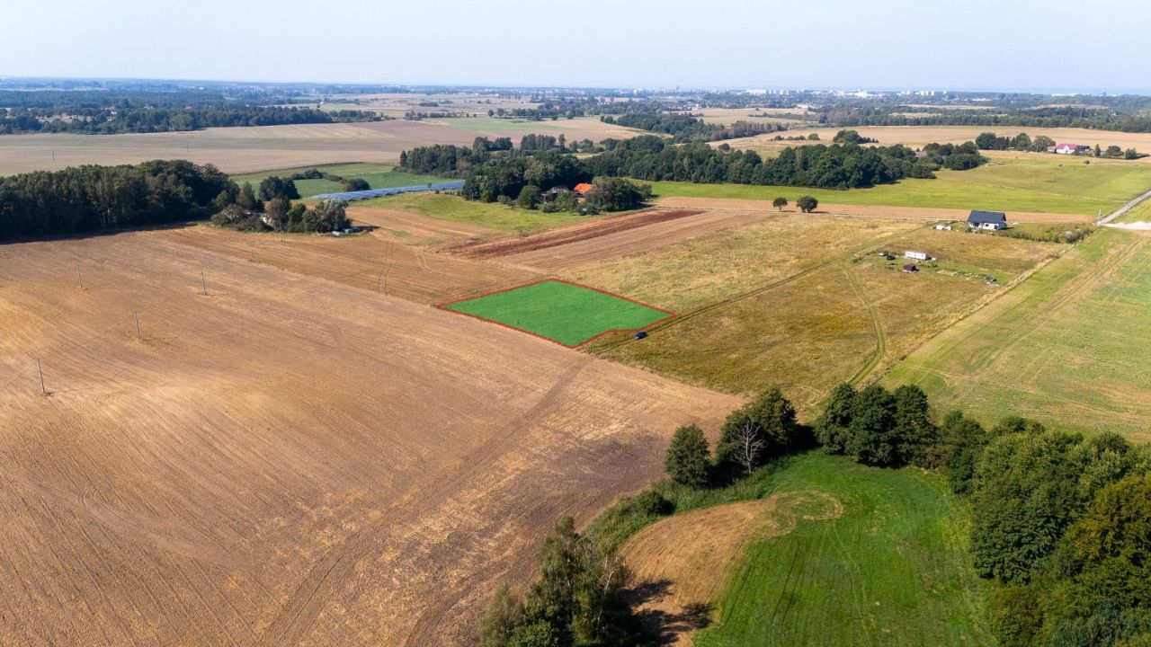 Działka siedliskowa Czernin. Zdjęcie 6