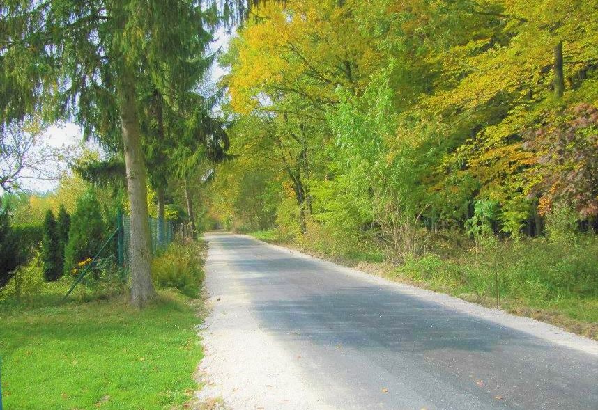 bliźniak, 7 pokoi Sancygniów, Sancygniów Podlesie. Zdjęcie 18