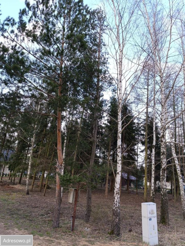 Działka budowlana Kuranów. Zdjęcie 5