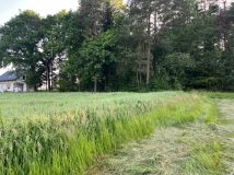 Działka budowlana Siołkowa Zagórze. Zdjęcie 2