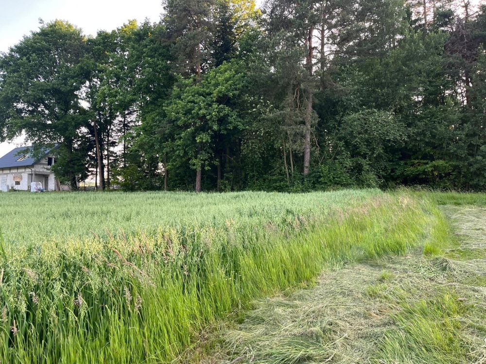 Działka budowlana Siołkowa Zagórze. Zdjęcie 3