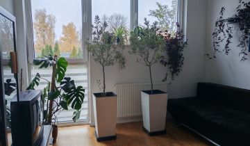 dom szeregowy, 4 pokoje Nowy Dwór Mazowiecki, ul. Szmaragdowa